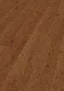 cc.10.ff.1101280126HWEicheJoshuaTreeOFPersV01.webp