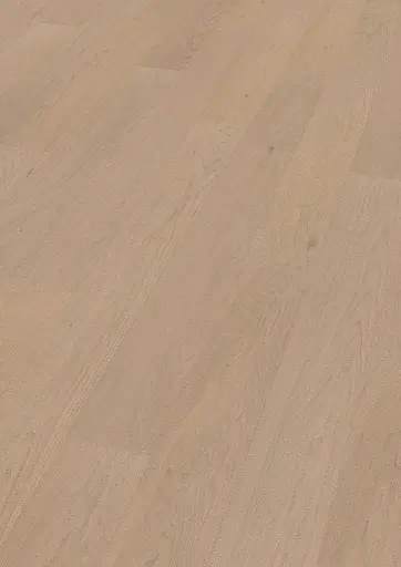 7c.b5.16.1188280013HWEicheBeatOFPersV01.webp