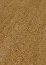 d3.e4.74.1188280015HWEicheEtienneOFPersV01.webp
