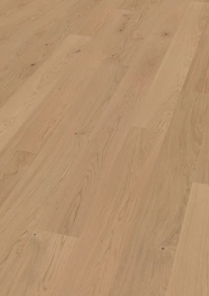 dc.52.fa.1188280014HWEicheVreniOFPersV01.webp