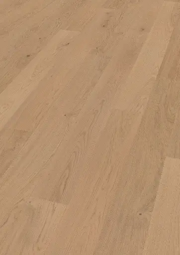 dc.52.fa.1188280014HWEicheVreniOFPersV01.webp