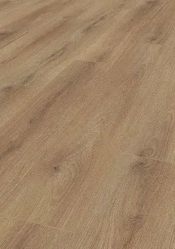 84.a8.78.1188020006LBEicheAureliaOFPersV01.webp