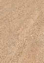 05.41.c6.11880200091188020017LBEicheFlavioOFPersV01 (1).webp