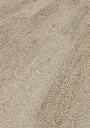 81.e1.df.1188020005LBEicheLuciaOFPersV01.webp