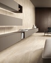 Luca Fiorano Matt Soft 60x120 6mm Gold Travertine