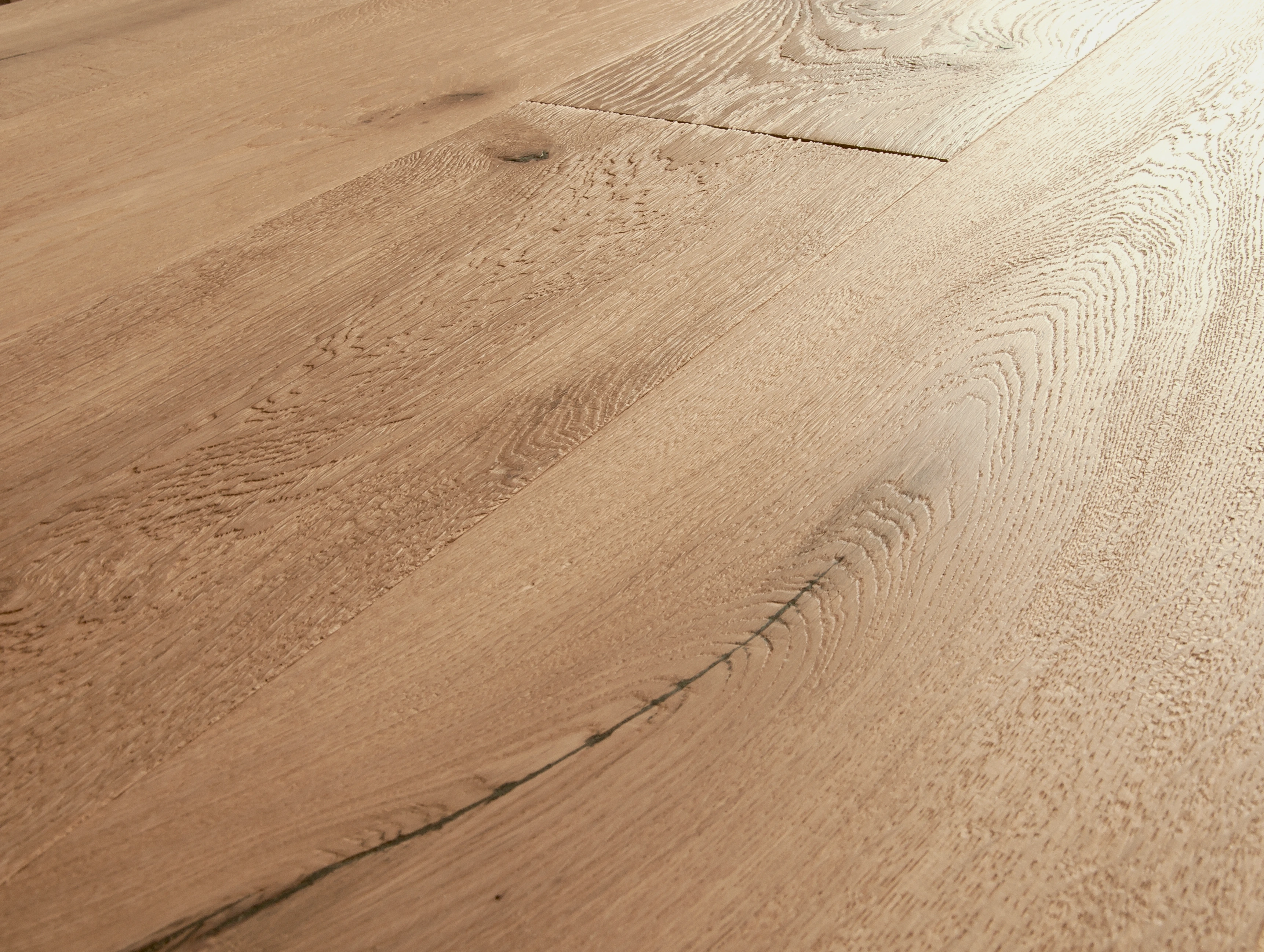 Oak No.2 - Cornwall 2