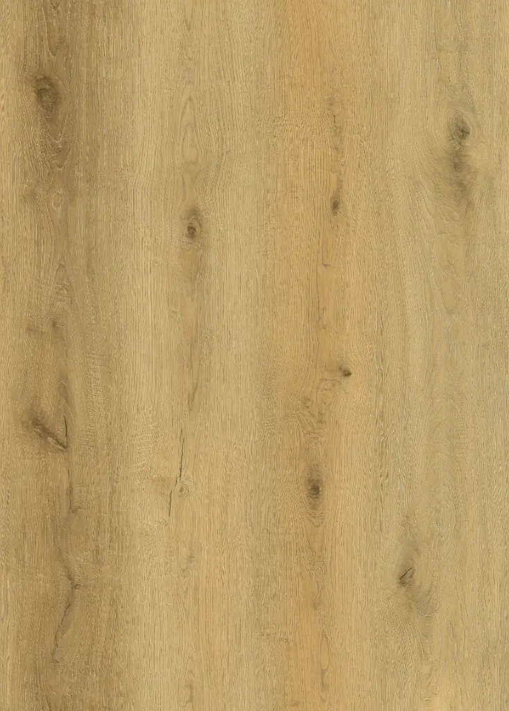 Regis Timber SPC (2).webp