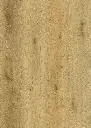 Regis Timber SPC (2).webp