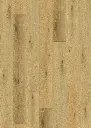 Regis Timber WPC (4).webp