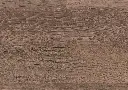 1f.4f.29.1101210419LVTD17EicheSalvadorOFDetailV01.webp