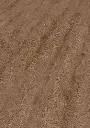 25.5c.db.1101210409LVTD24EicheWashingtonOFPersV01.webp