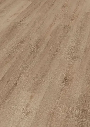 f7.75.f6.11012104291101290006LVTEicheBudapestOFPersV01.webp
