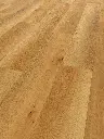 5a.13.22.110120051211012104371101290203LVTEicheCataniaOFPersV01.webp