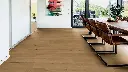 3a.5e.9a.110120070911012104241101290001LVTI08EicheLyonEssenMilieuRSV01.webp