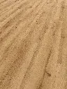 97.1d.92.110120051411012104391101290205LVTEicheNajuOFPersV01.webp
