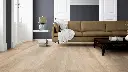f1.c1.de.110120051711012106121101240208LVTUlmeParisWohnMilieuRSV02.webp