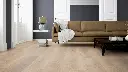 26.47.2e.110120051911012106141101240210LVTEicheAntwerpenWohnMilieuRSV02.webp