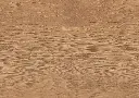 e6.a9.bf.1101210407LVTEicheHamburgOFDetailV01.webp