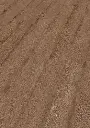 9c.01.9a.1101200533LVTEicheWashingtonOFPersV01.webp