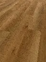 23.24.ef.110120051511012104401101290206LVTEicheTorontoOFPersV01.webp