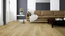 e8.c7.a2.110120051311012104381101290204LVTEicheZandvoortWohnMilieuRSV02 (1).webp