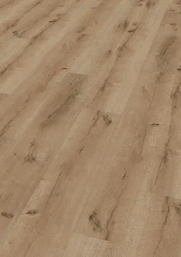 4d.10.1b.11012400211101210400LVTD14EicheBilbaoOFPersV01.webp