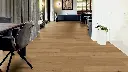 75.38.b6.110120070911012104241101290001LVTI08EicheLyonEssenMilieuRSV02.webp