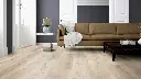 7b.05.05.110120051011012104351101290201LVTEicheTokyoWohnMilieuRSV02.webp