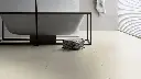 21.04.67.11012901031101290103LVTSteinBakuBadMilieuRSV01.webp