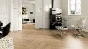 cc.90.8f.11012108011101240801LVTEicheRotterdamWohnMilieuRSV01.webp