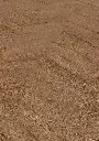 0d.ef.13.11012107041101240704LVTEicheWashingtonOFPersV01.webp