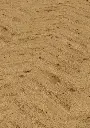 8d.4e.0a.11012107021101240702LVTEicheYorkOFPersV01.webp