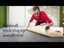 youtube - [Video]