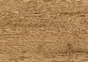 10.77.b3.1101270109AFEicheAskellaOFDetailV01.webp