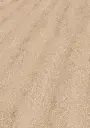3c.bd.12.1101270110AFEicheCapellaOFPersV01.webp