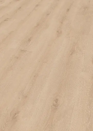 3c.bd.12.1101270110AFEicheCapellaOFPersV01.webp