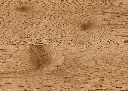 64.d8.e4.1101270112AFEicheJunoOFDetailV01.webp