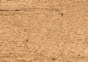 ee.5b.f6.1101270102AFEicheKumaOFDetailV01.webp