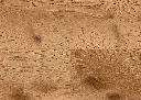 ef.ee.fa.1101250214AFEicheJunoOFDetailV01.webp