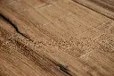 a3.02.2d.1148011909FPBJ0909OakNo10ArmstrongOFDetailV02.webp