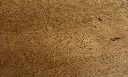 06.54.ce.1148012295FPBJ2005OakNo17BlenheimOFDetailV04.webp