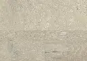 1762237338 (2).webp
