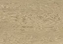 1761138618 (2).webp