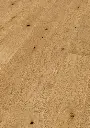 a0.54.d1.1148012011FPBJ2011OakNo33ClarenceOFPersV01.webp