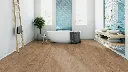 4c.e6.41.1101260043DUEicheVadooBadMilieuRSV01.webp