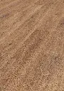79.91.e3.1101260037DUEicheBonaireOFPersV01.webp