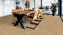 af.3c.d9.1101021854LBEichePatioEssenMilieuRSV01.webp