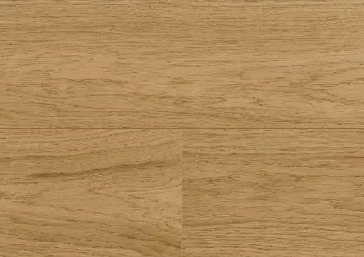 41.02.bc.1101281200HWEicheCapitolReefOFDetailV01.webp
