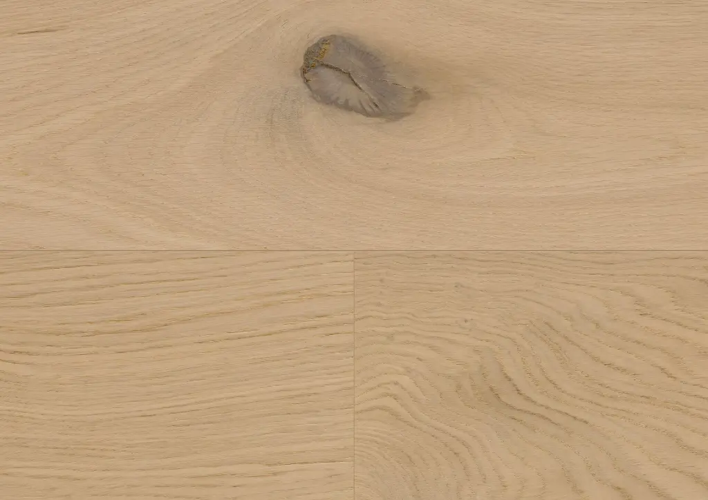 ef.fb.11.1101281105HWEicheDovreOFDetailV01.webp