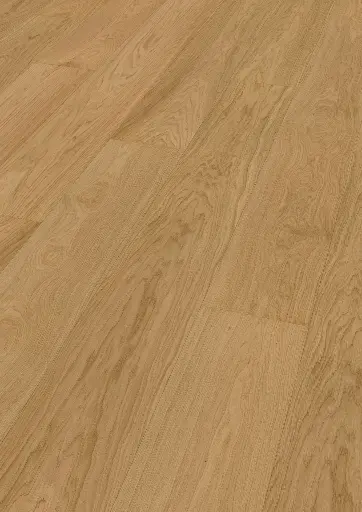 f6.0c.cf.1101281100HWEicheCapitolReefOFPersV01.webp